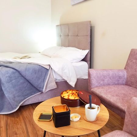 Dani Lux Belgrade Center Studio Apartment Luaran gambar